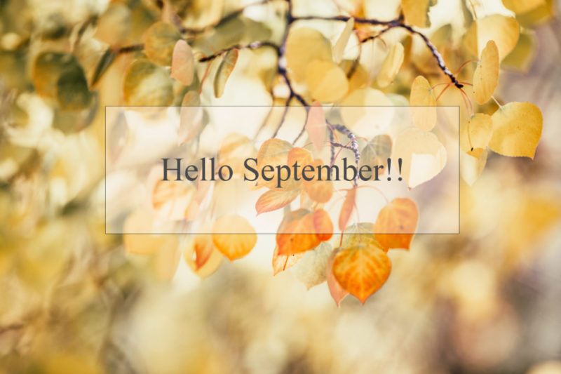 september background προσφορές-πακέτα-ομορφιάς